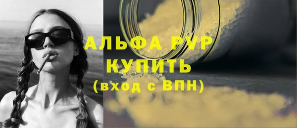 стафф Ладушкин