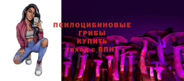 стафф Ладушкин