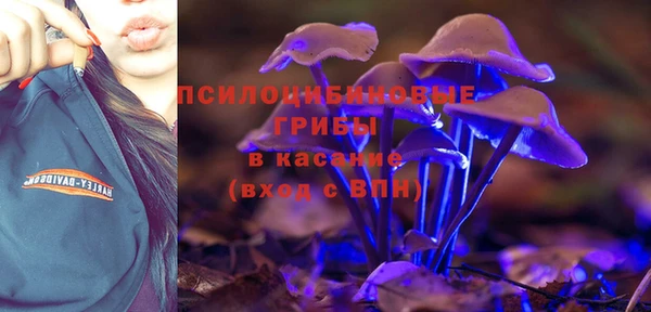 круглые Лагань